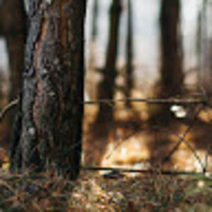 Meet your Posher, Diego